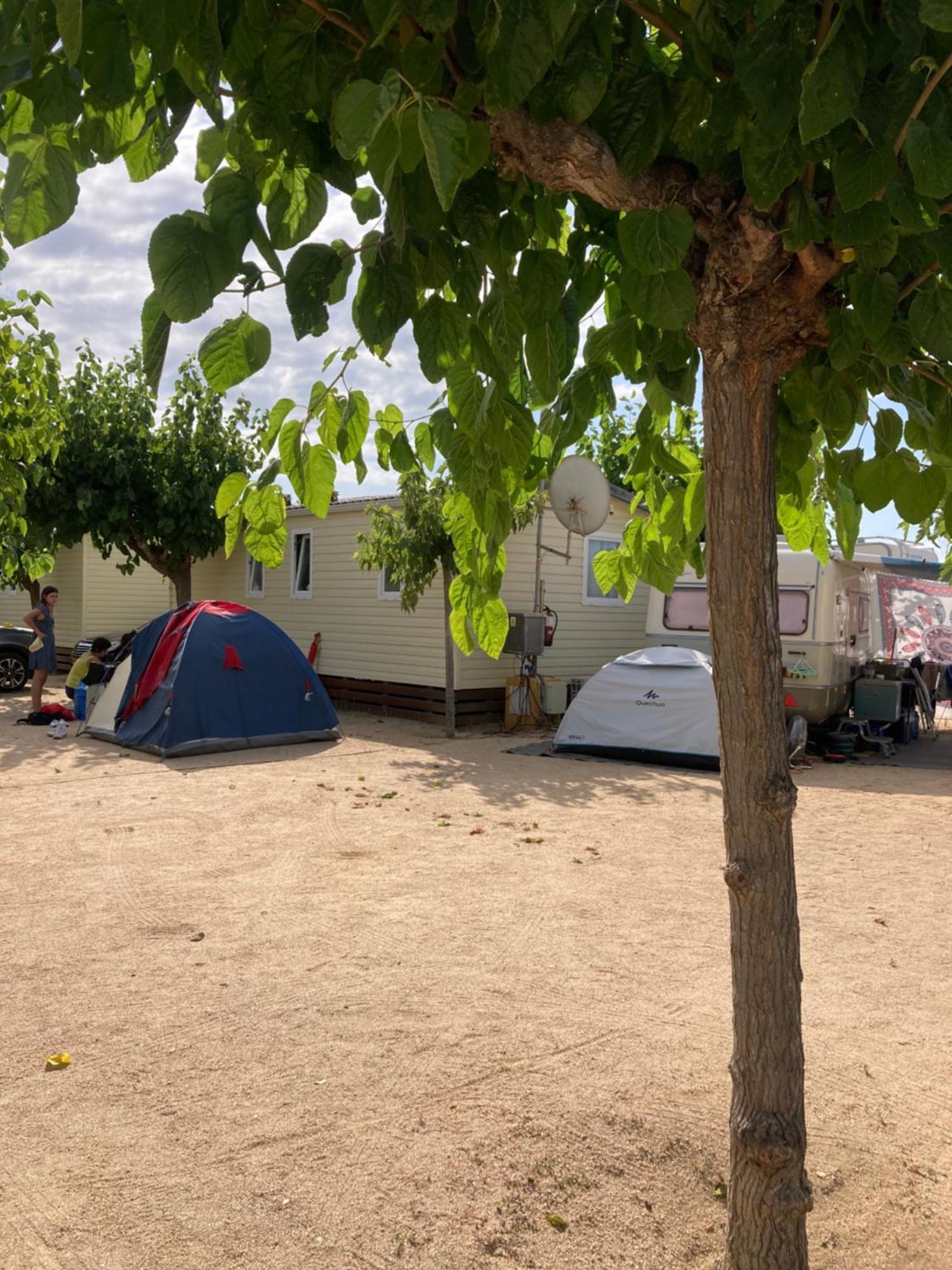 Camping El Pinar Platja Santa Susanna Exteriér fotografie